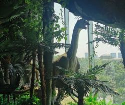 -恐龙探索乐园(磁器口店)