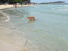 -查汶海滩