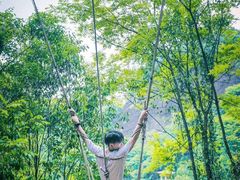 -修水东浒寨风景区