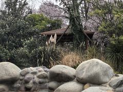 -地中海传奇水汇