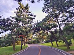 -棒棰岛宾馆景区