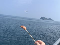 -海驴岛(荣成市)