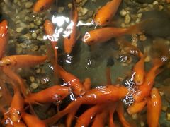 -邈墨茶馆(凤起路店)