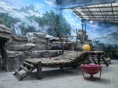 -鄂尔多斯野生动物园