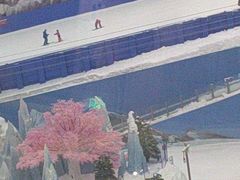 -长沙湘江冰雪世界