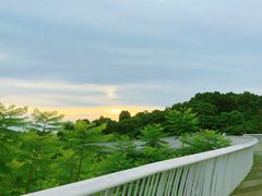 -飞凤山奥体公园