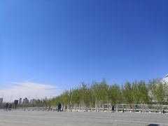 -哈尔滨大剧院