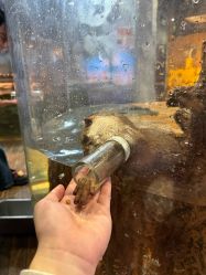 -Zoolung Zoolung动物主题公园(海信广场店)