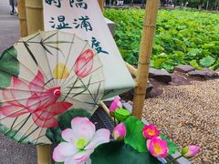 -大宁公园