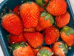 -百果园PAGODA(中铭豪园店)