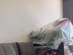 -科立恩进口除甲醛甲醛检测
