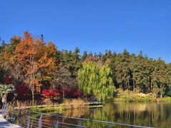 -南京银杏湖乐园