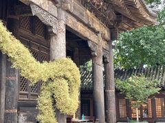 -嵩祝寺及智珠寺