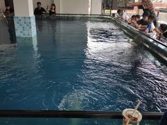 -SHRIMP CLUB万东餐饮钓虾·清吧