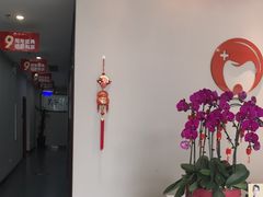 -土豆口腔(凤凰北总店)