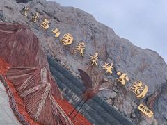 -北京西山国家森林公园