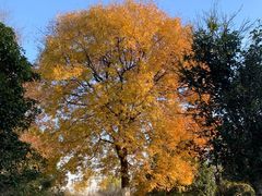 -南京市江宁方山