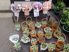 -循礼门鲜花花市(武汉循礼门店)