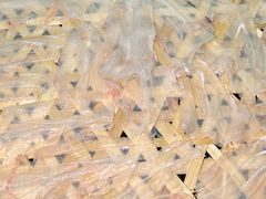 -官塘陈记鱼生·潮汕砂锅粥·牛肉火锅(潮枫路总店)