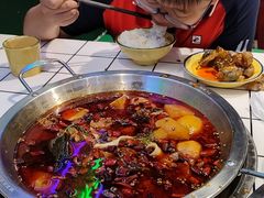 -晓彭肥肠鸡·泡椒鸡火锅(水木天地店)