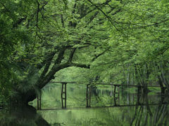 -西溪南古村落景区
