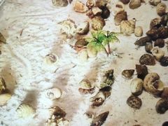 -江南西(地铁站)