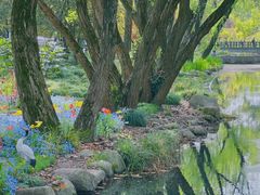 -上海共青森林公园