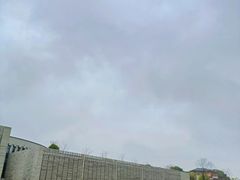 -八大山人梅湖景区
