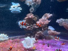-欢乐海岸海洋奇梦馆