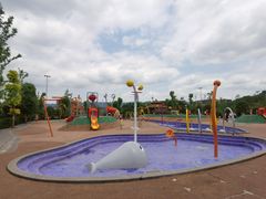 -枫香湖儿童公园