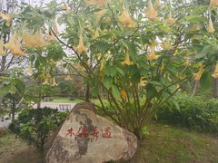 -枫香湖儿童公园