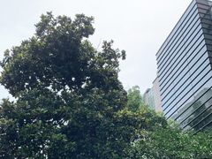 -浙江大学医学院附属第一医院(庆春院区)