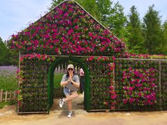 -羊亭河湿地公园