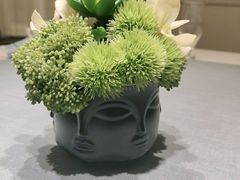 -宝燕壹号(长寿店)