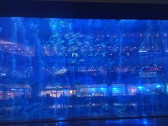 -成都浩海立方海洋公园