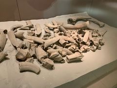 -西安大唐西市博物馆