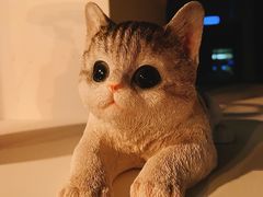 -Catail前苑(前门大街店)