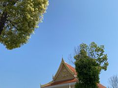 -洛阳白马寺
