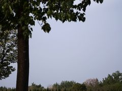 -汉长安城未央宫国家考古遗址公园