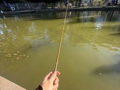 -酷鱼垂钓CLUB(朝阳区博大路店 )