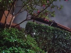 -杭州第一世界大酒店·云曼温泉