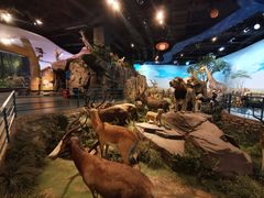 -陕西自然博物馆