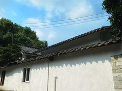 -南山植物园