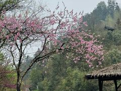 -常德桃花源景区
