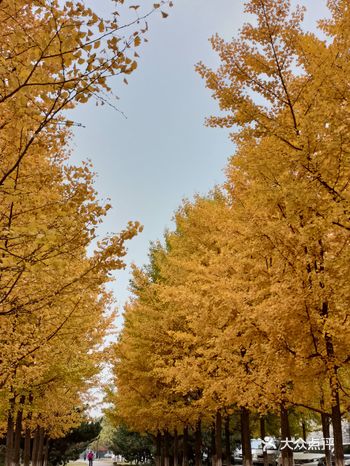 每年必打卡的家门口的景点