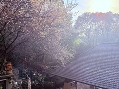 -天目湖涵田半山温泉