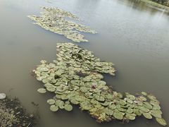 -长春北湖公园