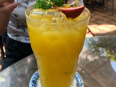 -Fern Forest Cafe