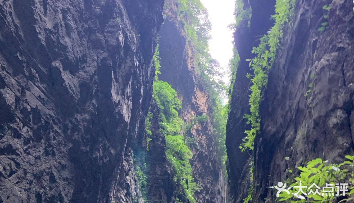 🚘重庆周边游 | 领略峡谷风光⛰️