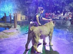 -清迈夜间动物园